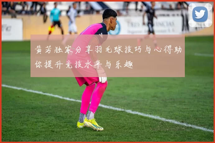 黄芳独家分享羽毛球技巧与心得助你提升竞技水平与乐趣