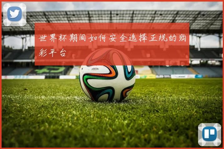 世界杯期间如何安全选择正规的购彩平台