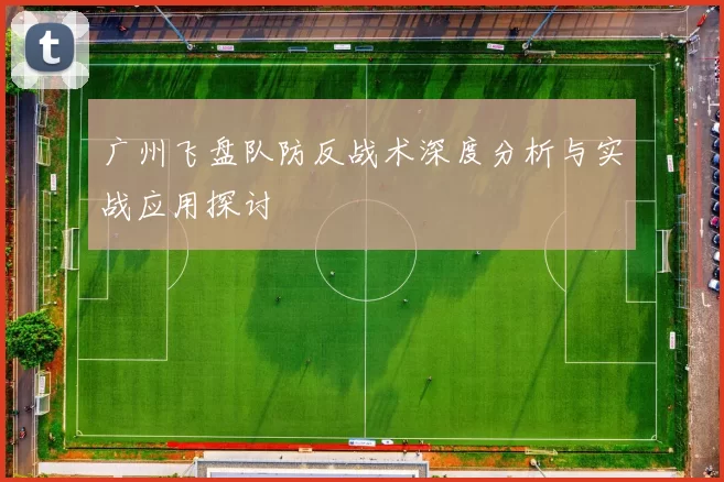 广州飞盘队防反战术深度分析与实战应用探讨