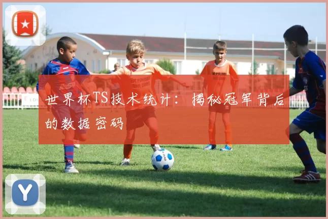 世界杯TS技术统计：揭秘冠军背后的数据密码