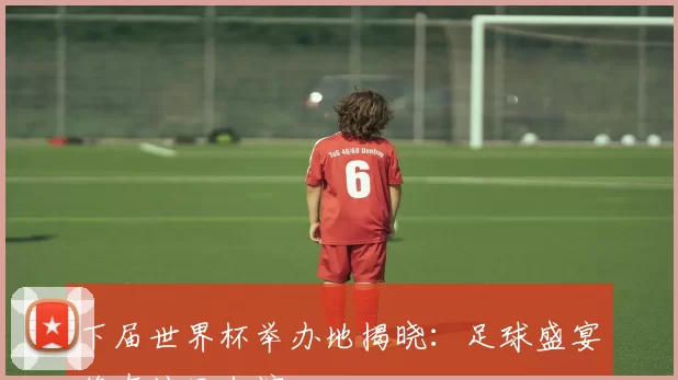 下届世界杯举办地揭晓:足球盛宴将在这里上演