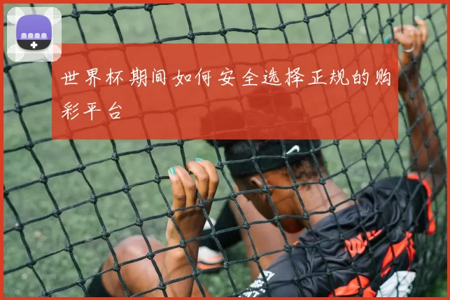 世界杯期间如何安全选择正规的购彩平台
