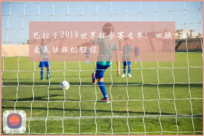 巴拉圭2018世界杯参赛名单：回顾南美劲旅的征程