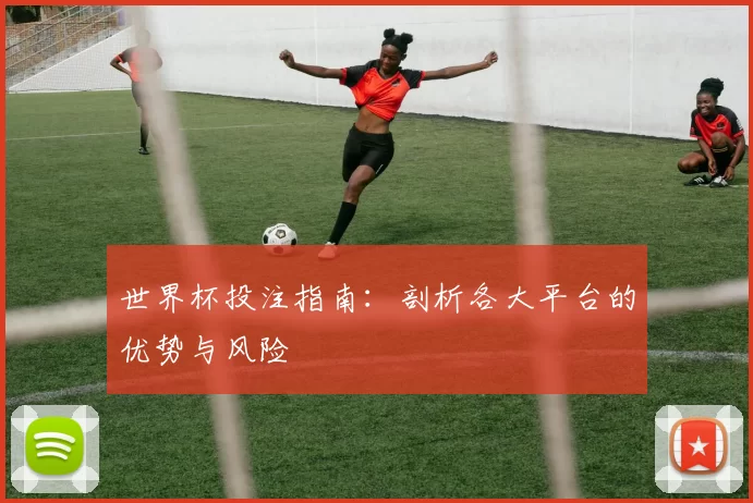 世界杯投注指南：剖析各大平台的优势与风险