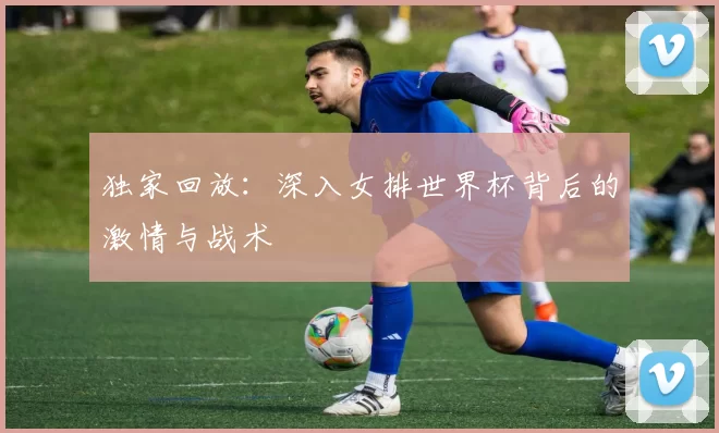 独家回放:深入女排世界杯背后的激情与战术