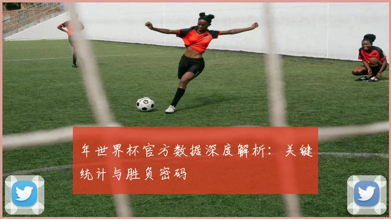 年世界杯官方数据深度解析:关键统计与胜负密码