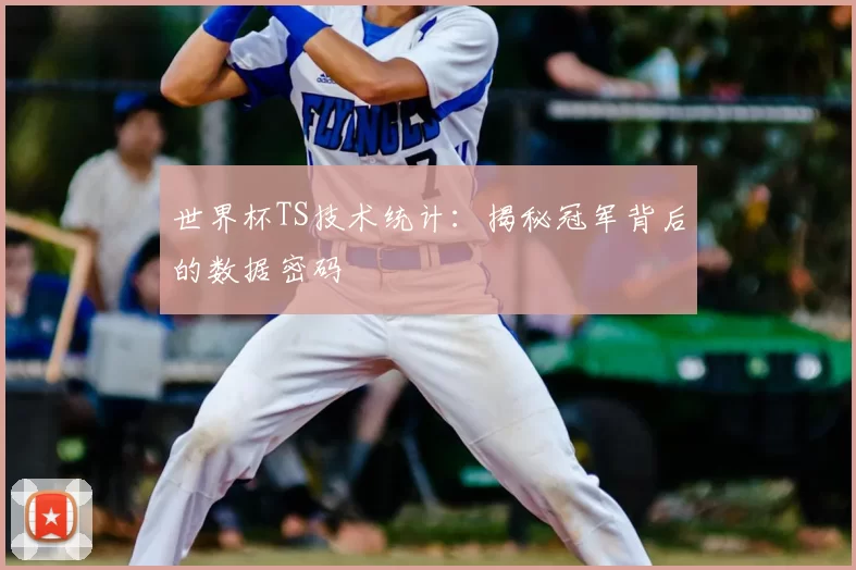 世界杯TS技术统计：揭秘冠军背后的数据密码