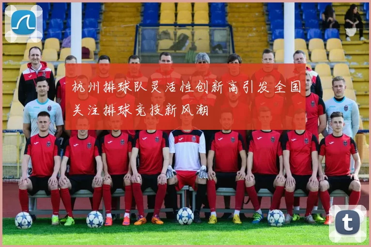 杭州排球队灵活性创新高引发全国关注排球竞技新风潮