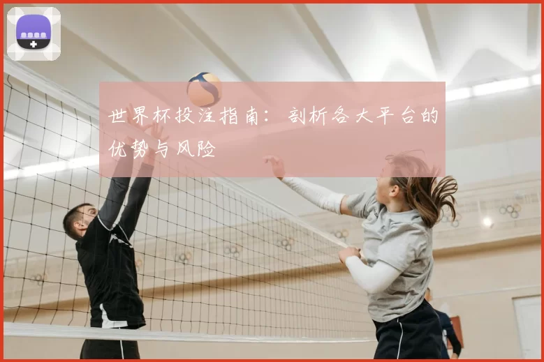 世界杯投注指南:剖析各大平台的优势与风险