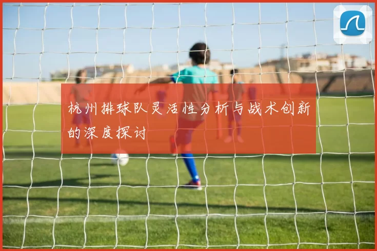 杭州排球队灵活性分析与战术创新的深度探讨