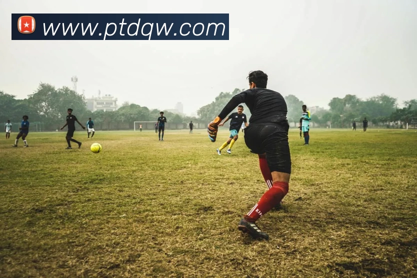 爱游戏APP 封面图